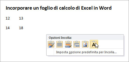 Figura 11: opzioni Incolla per una selezione di celle copiata da Excel 